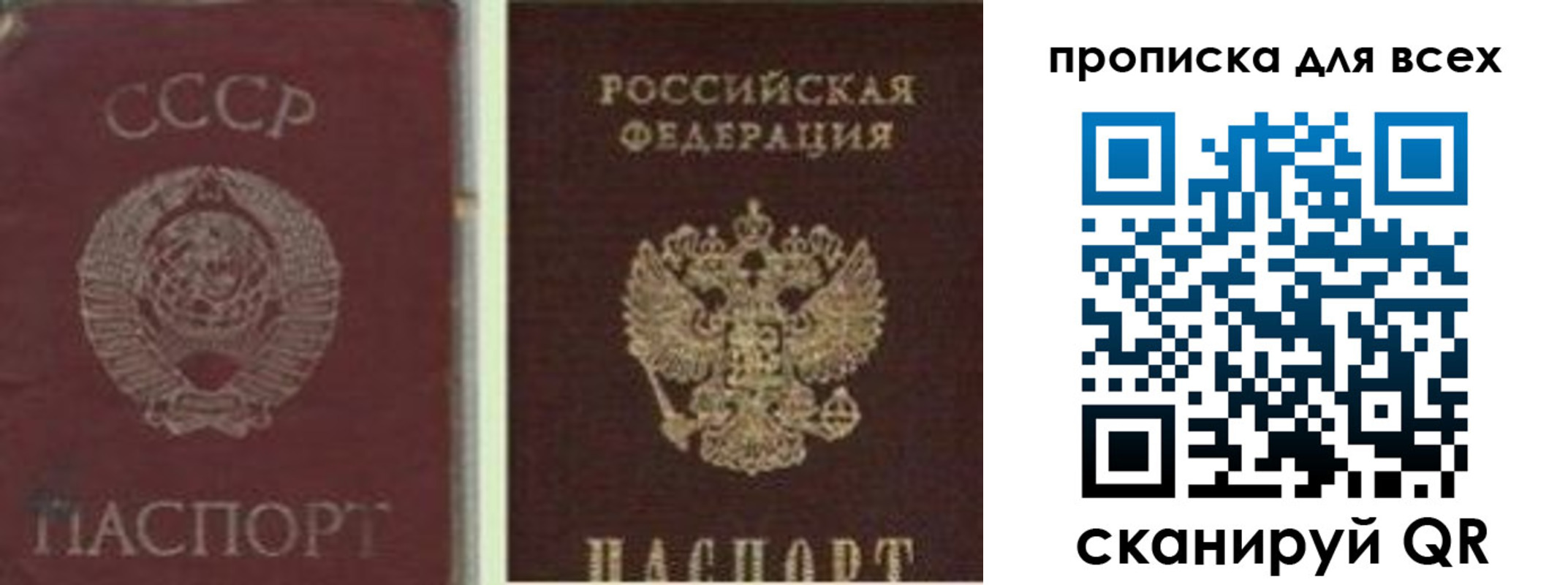 временная прописка в Коврове
